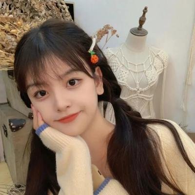 盗贼泰瑞莎